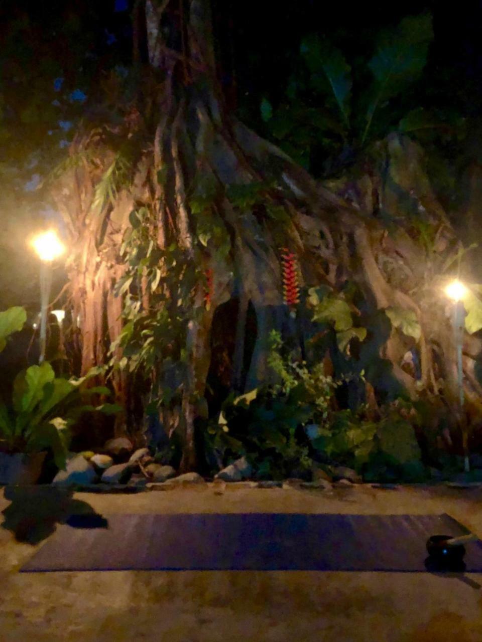 Jaco Inn Exteriör bild